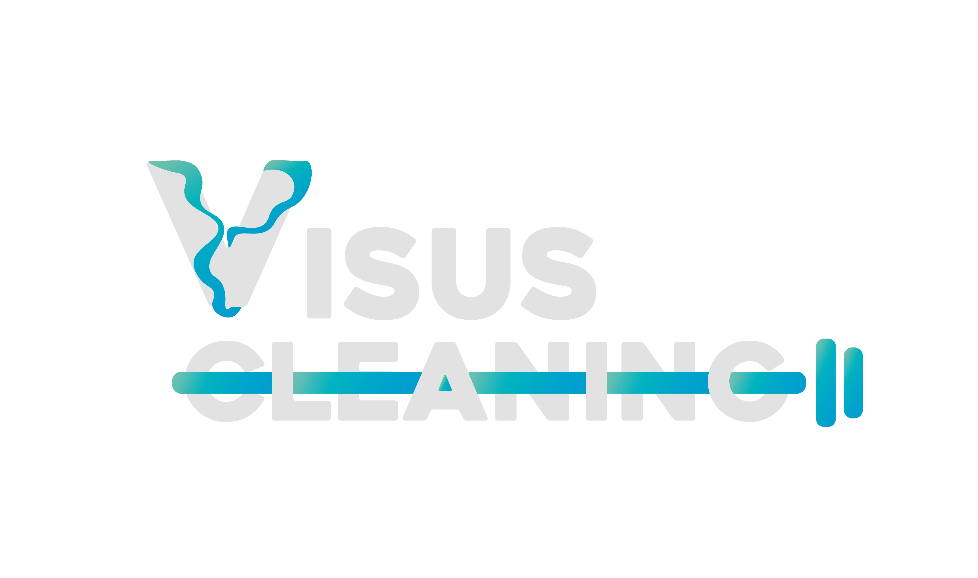 Logo Visus Cleaning